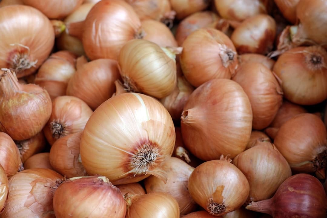 Cebolas